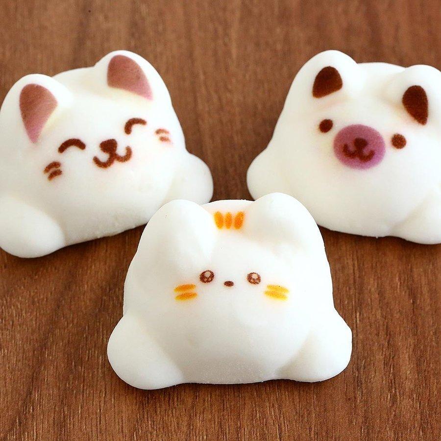 かわいいホワイトデーギフトのおすすめ人気ランキング【2026年4月】 4