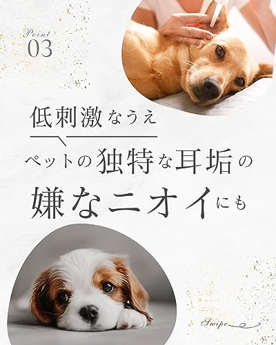 イヤークリーナー 5