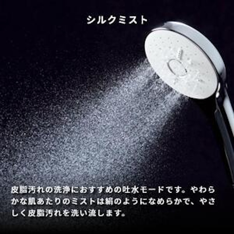 LIXIL エコアクアシャワーSPA 2