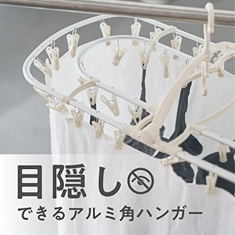 目隠しピンチハンガー 2