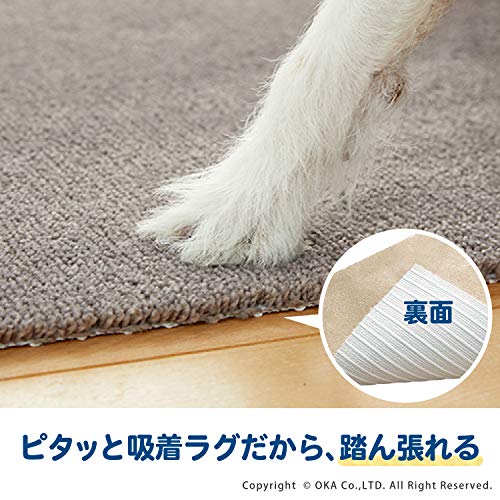 ピタペトモ 2
