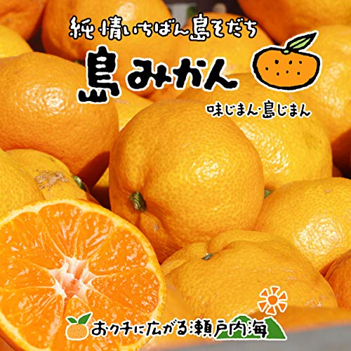 温州みかん 1