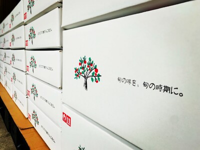 やまし平林農園 訳あり ぐんま名月 2