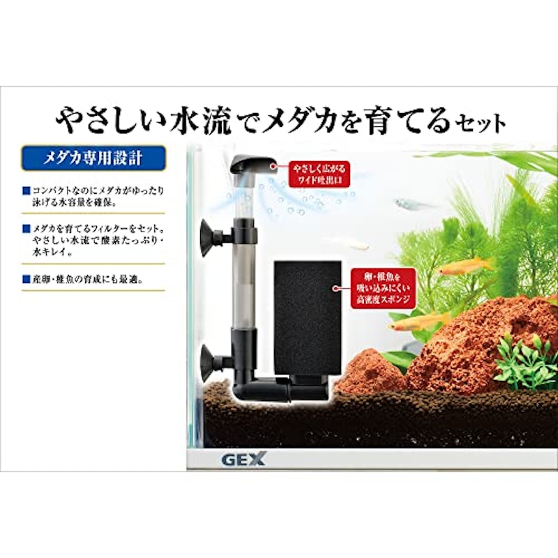 メダカのための水槽セット 3