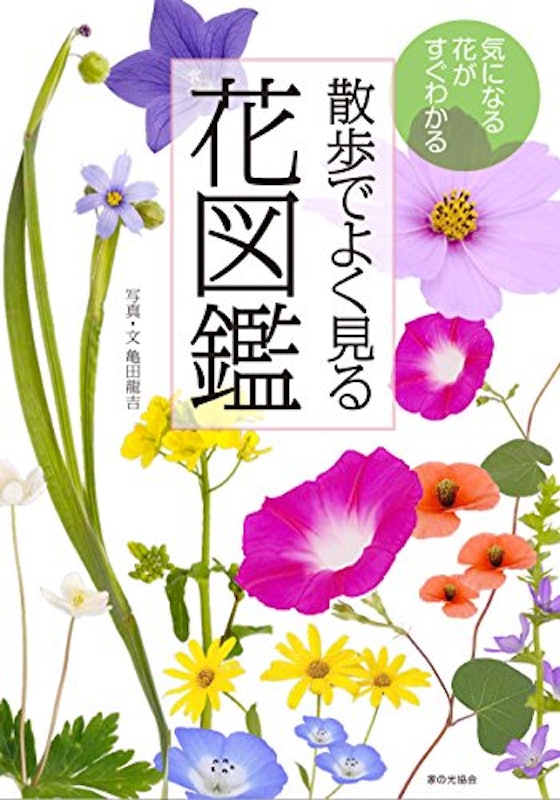 22年 花図鑑のおすすめ人気ランキング選 Mybest 22年 花図鑑のおすすめ人気ランキング選 Mybest