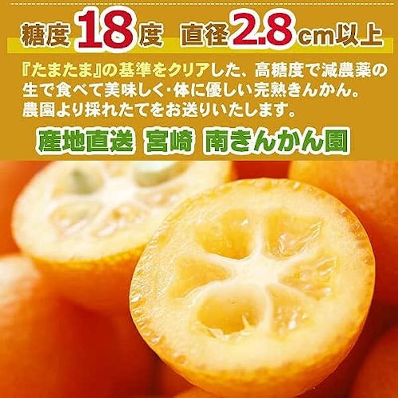 宮崎産 完熟 きんかん 3