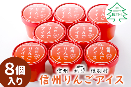信州りんごアイス 1