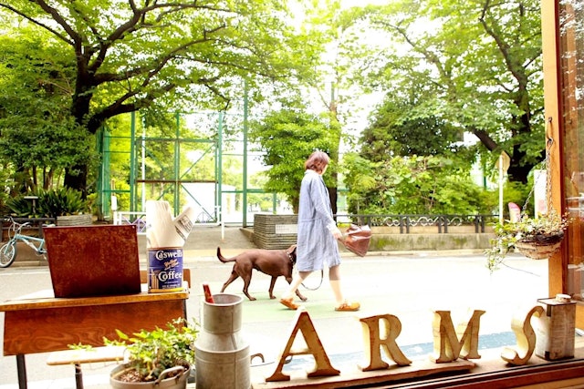 東京都内のドッグカフェおすすめ人気ランキング選 サロン ホテル付きのお店も Mybest 東京都内のドッグカフェおすすめ人気ランキング選 サロン ホテル付きのお店も Mybest