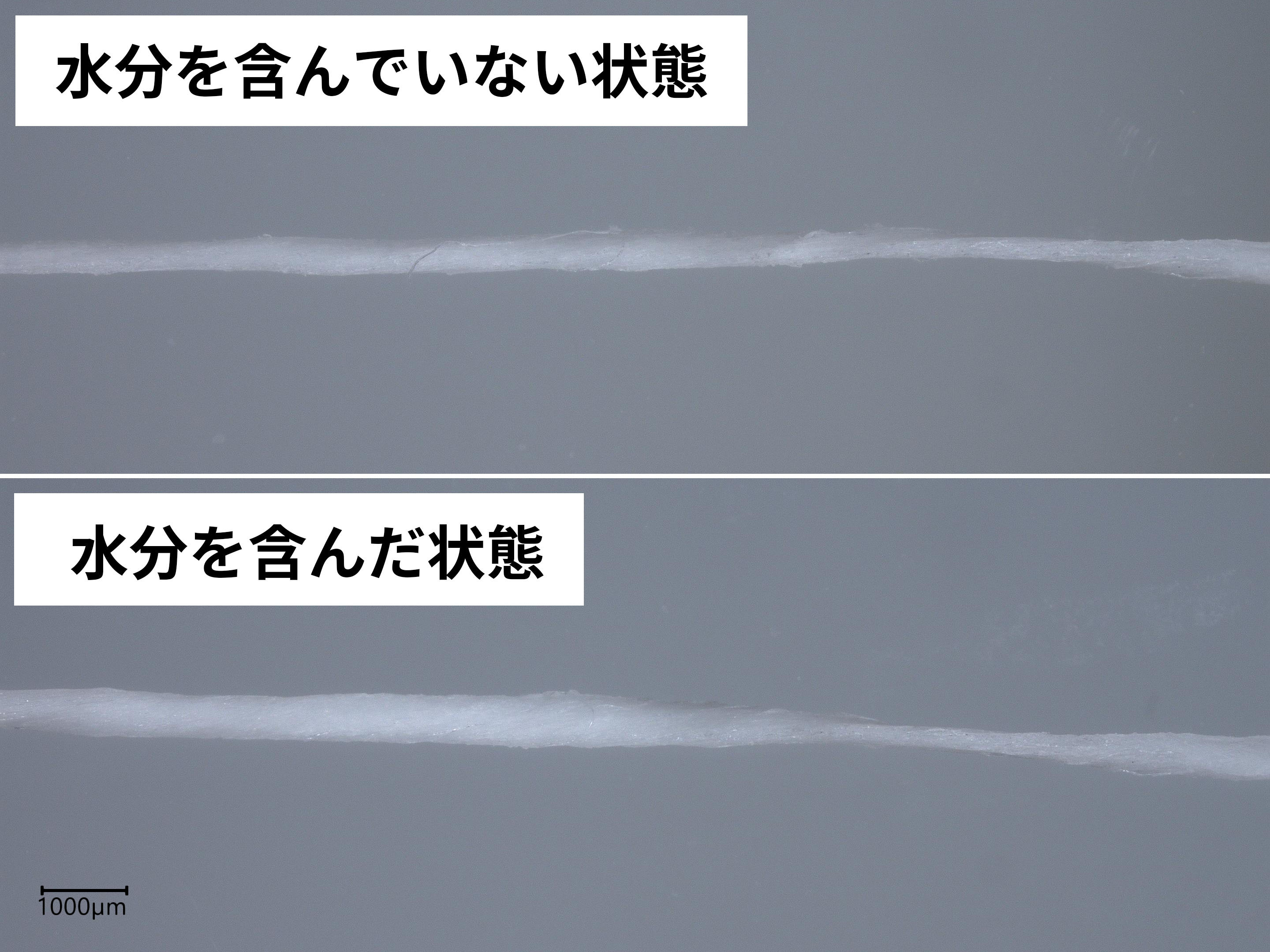 クリニカアドバンテージ スポンジフロス 3