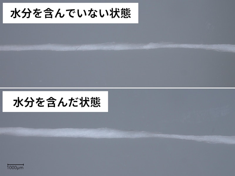 クリニカアドバンテージ スポンジフロス 3