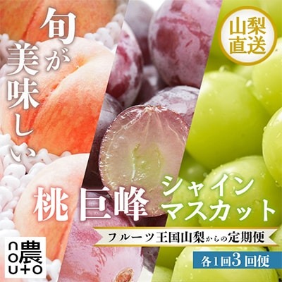 山梨の美味しい果物 桃・巨峰・シャインマスカット全3回 1