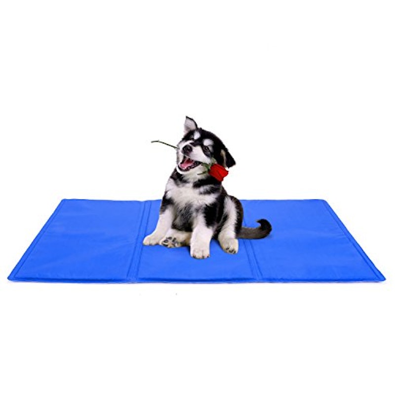 22年 猫用ひんやりマットのおすすめ人気ランキング17選 Mybest 22年 猫用ひんやりマットのおすすめ人気ランキング17選 Mybest