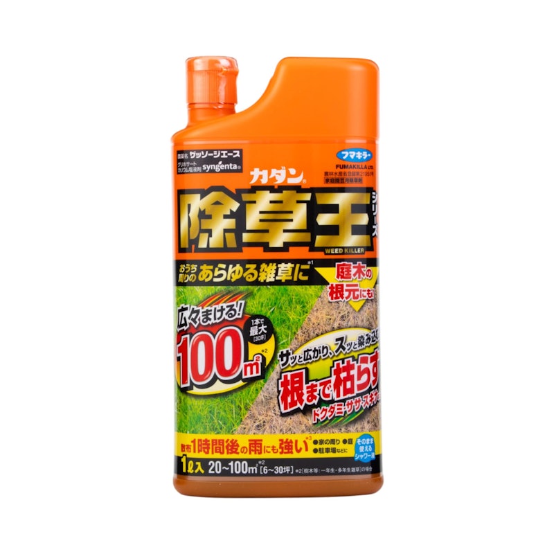 ザッソージエース 1