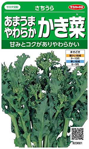 かき菜 1
