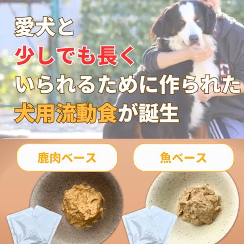 犬用介護食のおすすめ人気ランキング【2024年】 | マイベスト