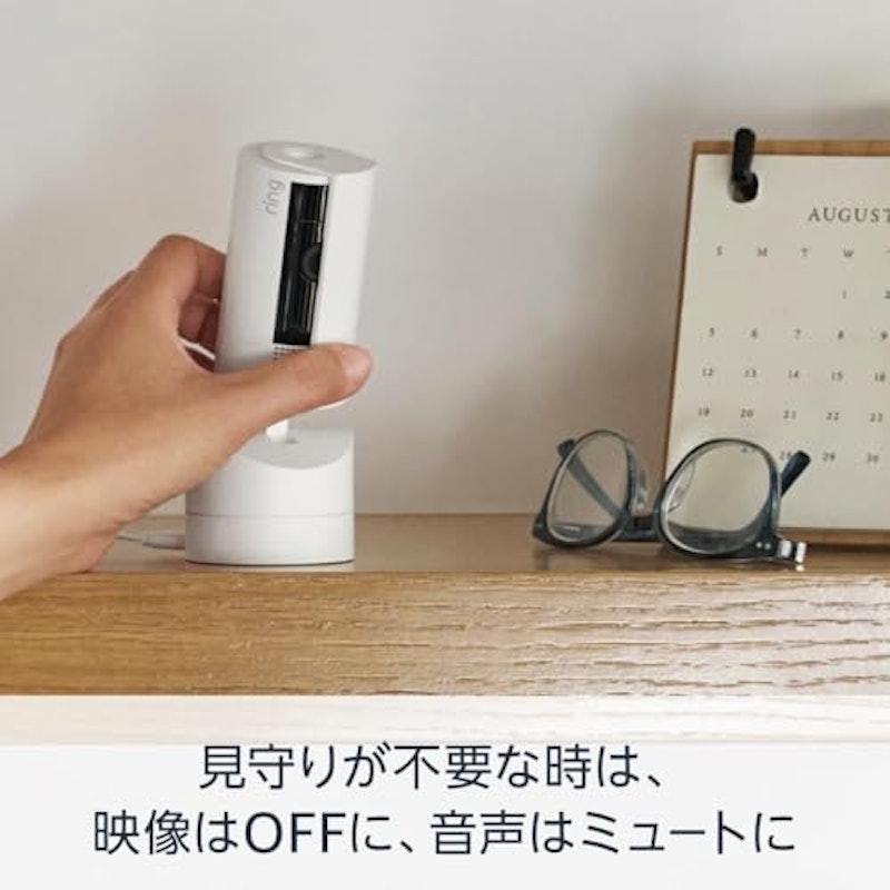 Pan-Tilt Indoor Cam 5