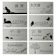 Anvis 表札 1