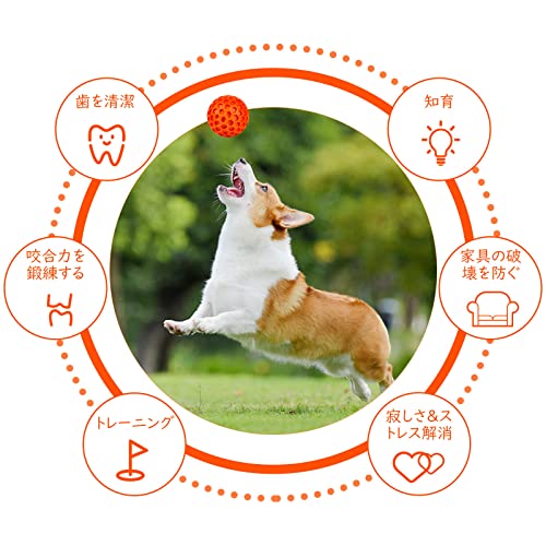 音が出るボール 2