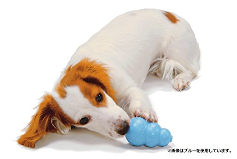 21年 犬用留守番おもちゃのおすすめ人気ランキング10選 Mybest 21年 犬用留守番おもちゃのおすすめ人気ランキング10選 Mybest