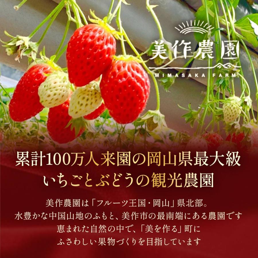 美しの香 クレオパトラおいCベリー 16