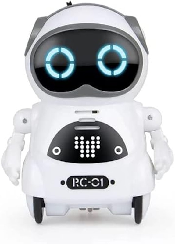 ポケットロボット 1
