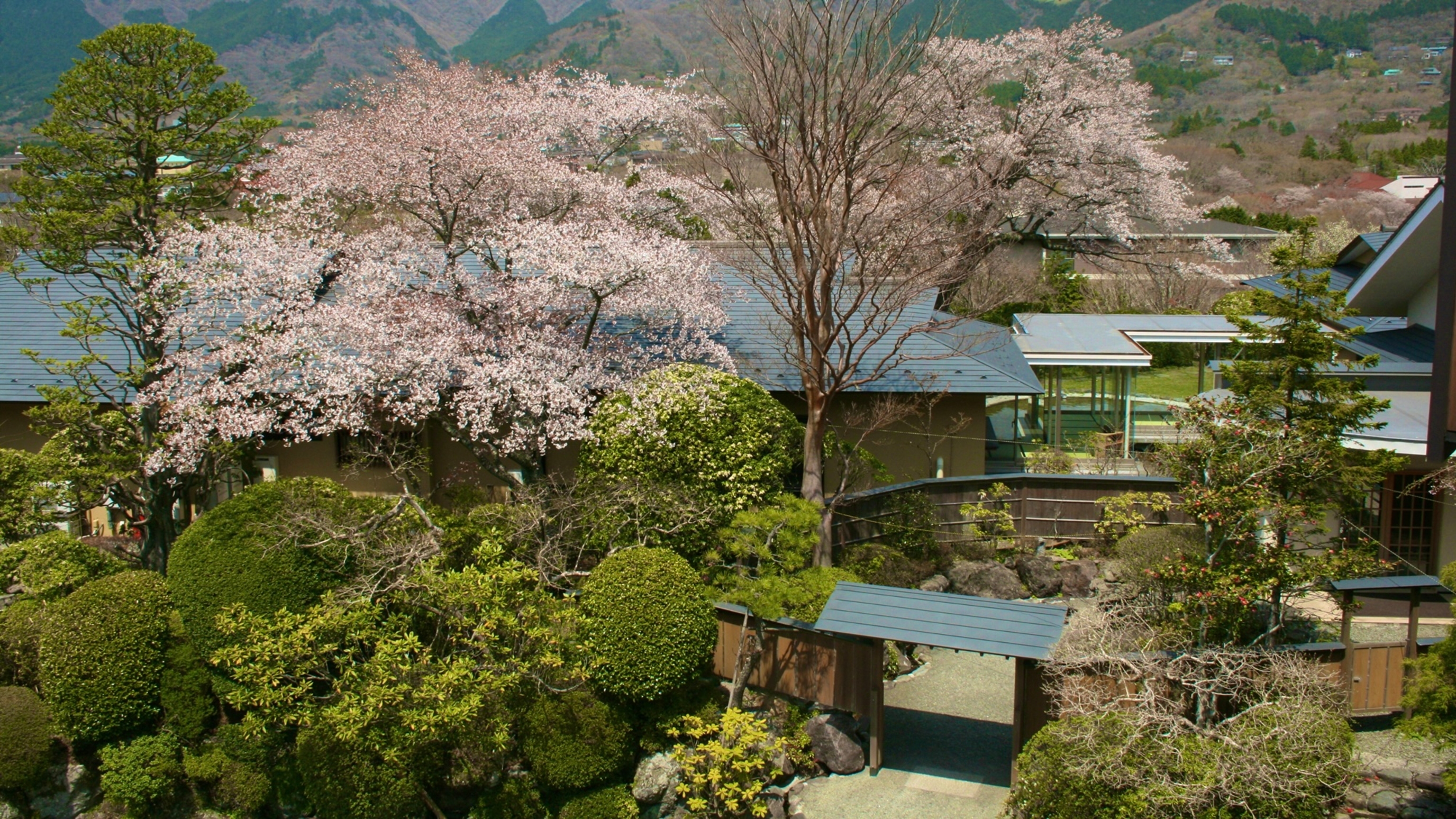 仙石原温泉 仙郷楼 5