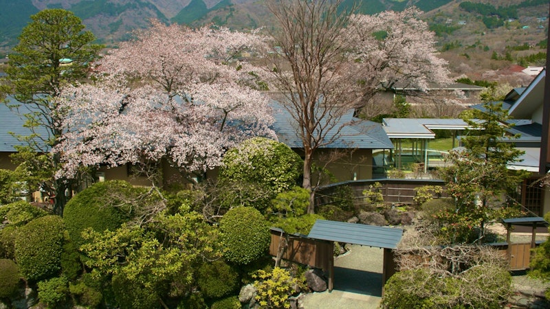 仙石原温泉 仙郷楼 5