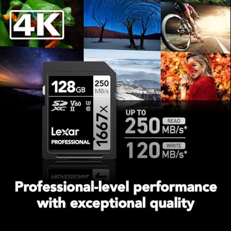Professional 1667x SDXC UHS-II カード SILVER シリーズ 2