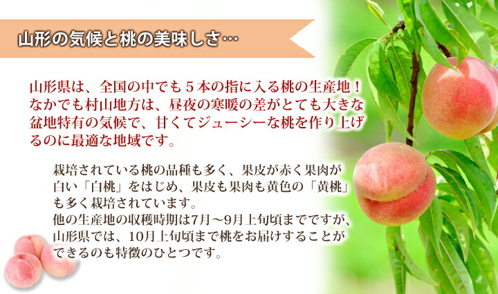 中野さんの桃 2
