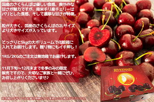 南米チリ産チェリー 5