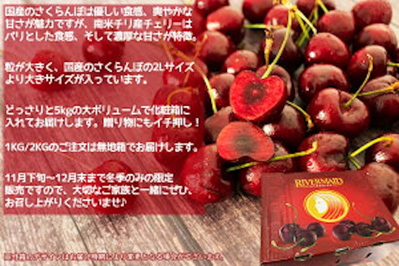 南米チリ産チェリー 5