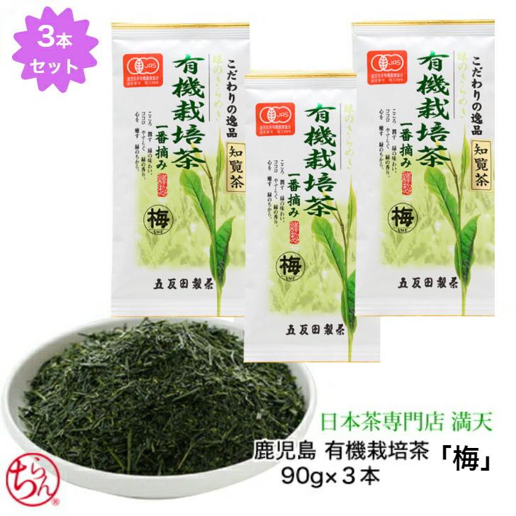 知覧茶 有機栽培茶 梅 1