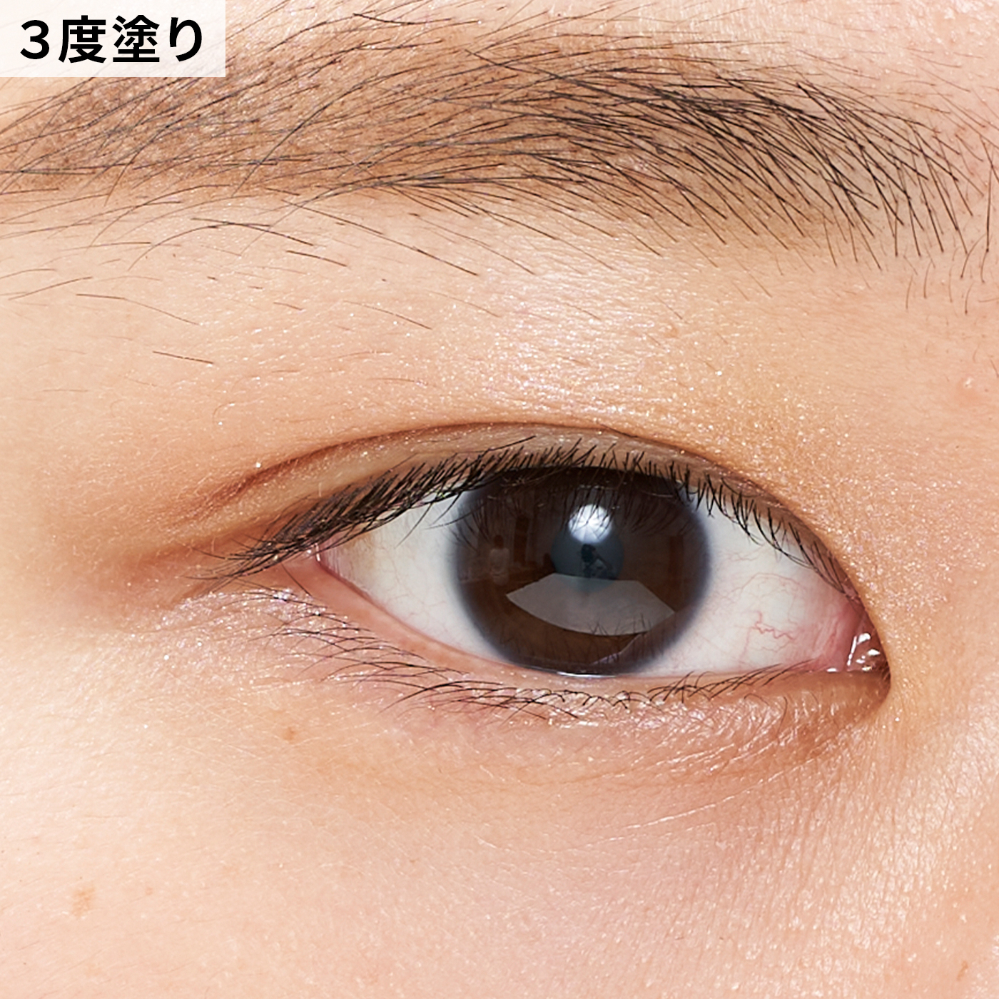 DHC エッセンスイン アイシャドウ 8