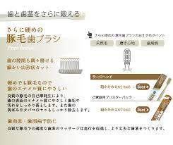 豚毛歯ブラシ 2