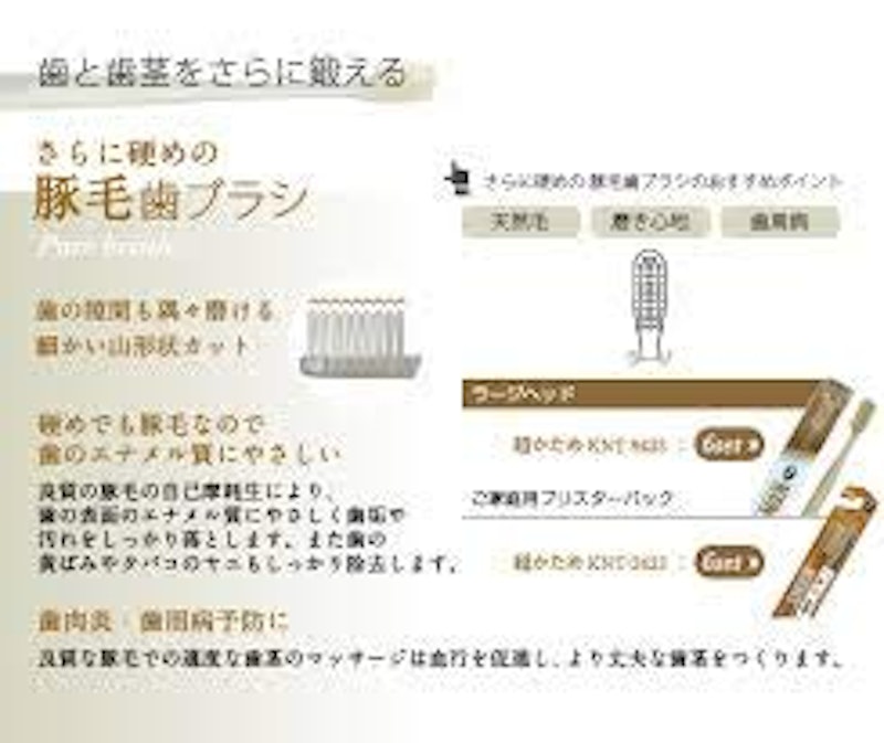 豚毛歯ブラシ 2
