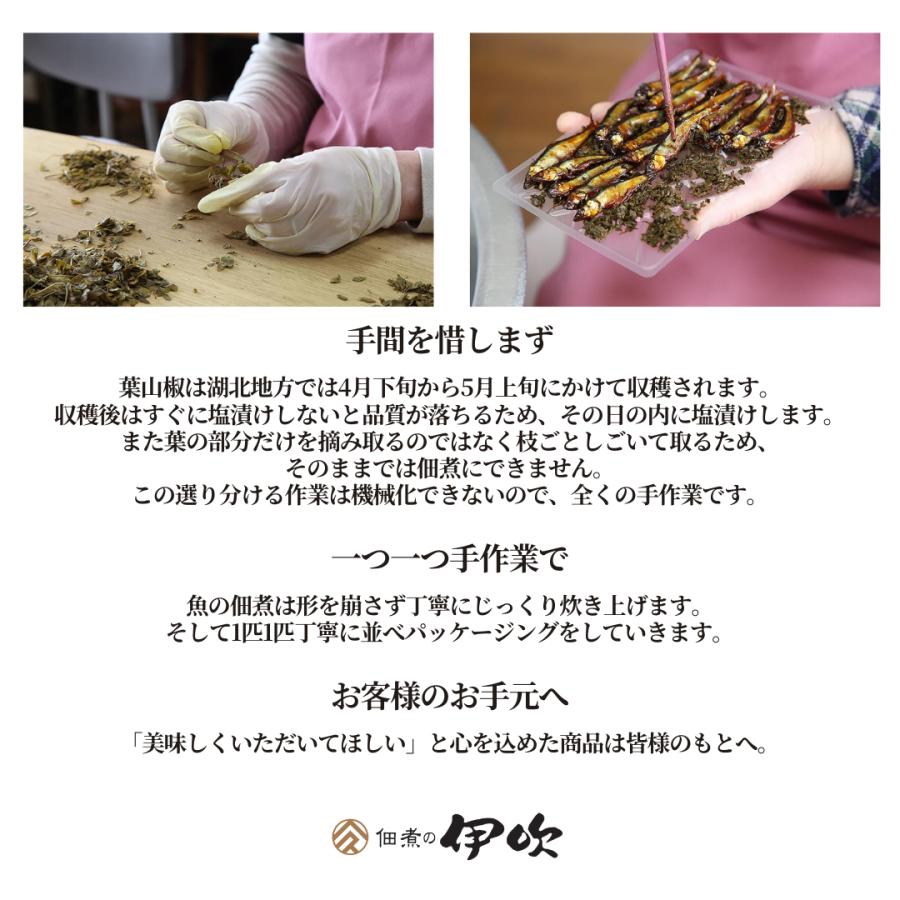 小あゆ木の芽煮 12