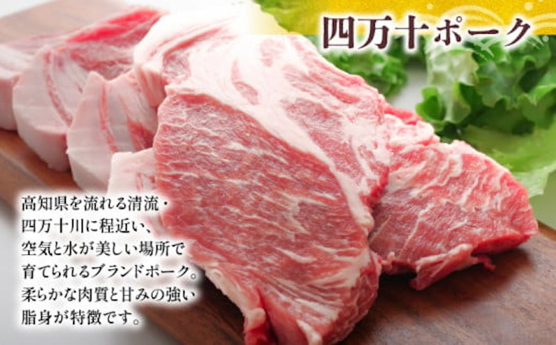 ハンバーグ 四万十ポーク入り 3