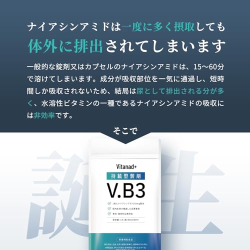 持続型 ナイアシンアミド サプリ 3