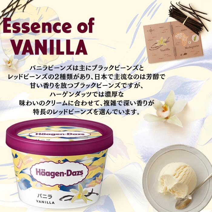 アイスクリーム 人気 6種 12個 詰め合わせ セット 3