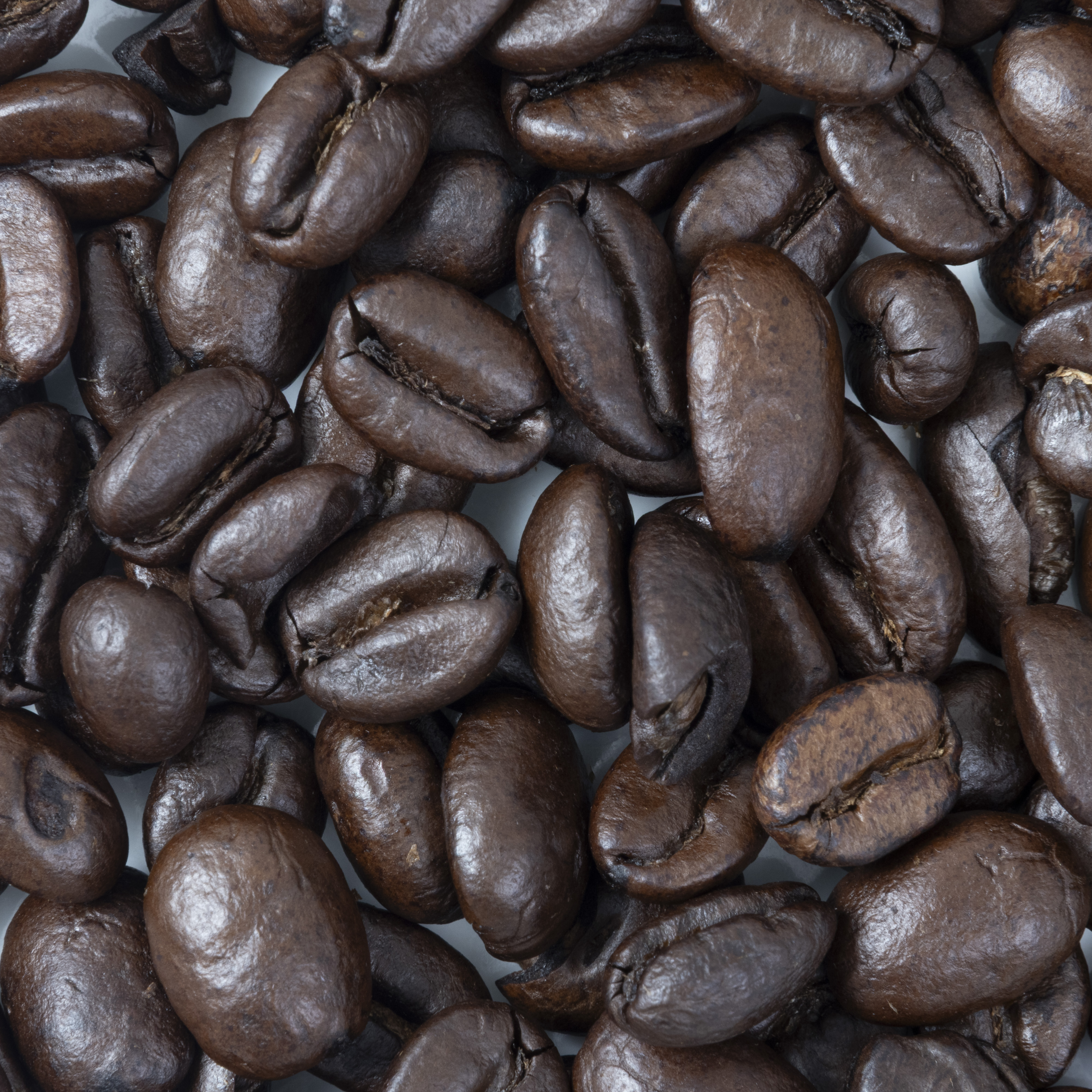 スターバックスコーヒージャパン ハウス ブレンド クチコミ評価・評判&検証レビュー 2