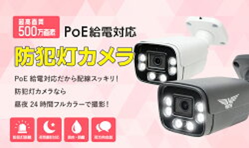PoEの防犯カメラ 2