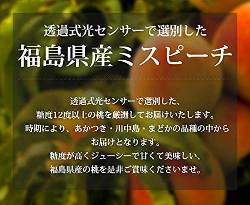 JAふくしま未来 ミスピーチ 3
