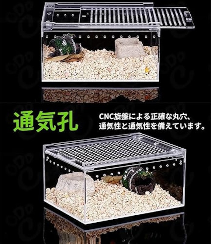 レプタイルボックス 5