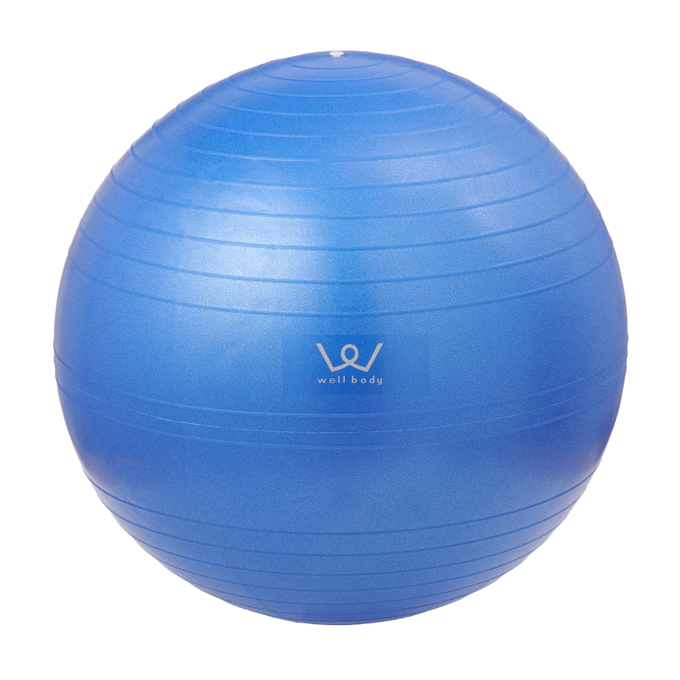 9574円 2021高い素材 エクササイズボール 65cm ブルー