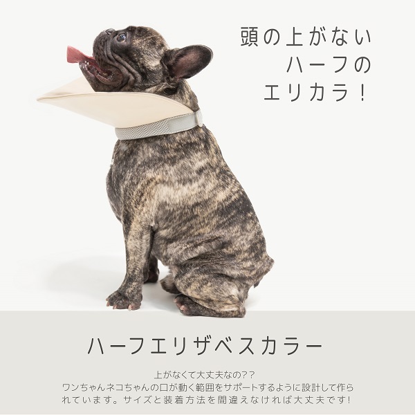 ハーフエリザベスカラー 2