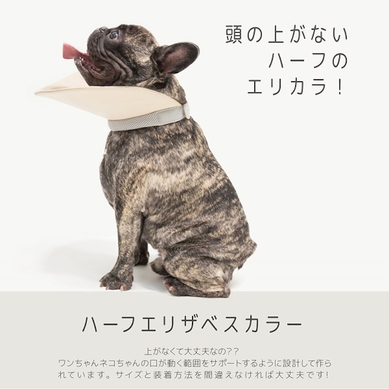 ハーフエリザベスカラー 2