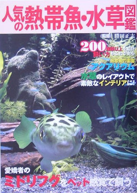 人気の熱帯魚・水草図鑑 1