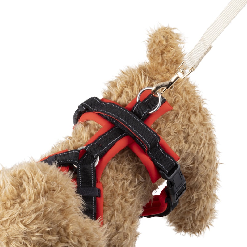 Hakusan ゼロハーネス 6