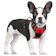 GLOBEGOU 犬 ハーネス 1