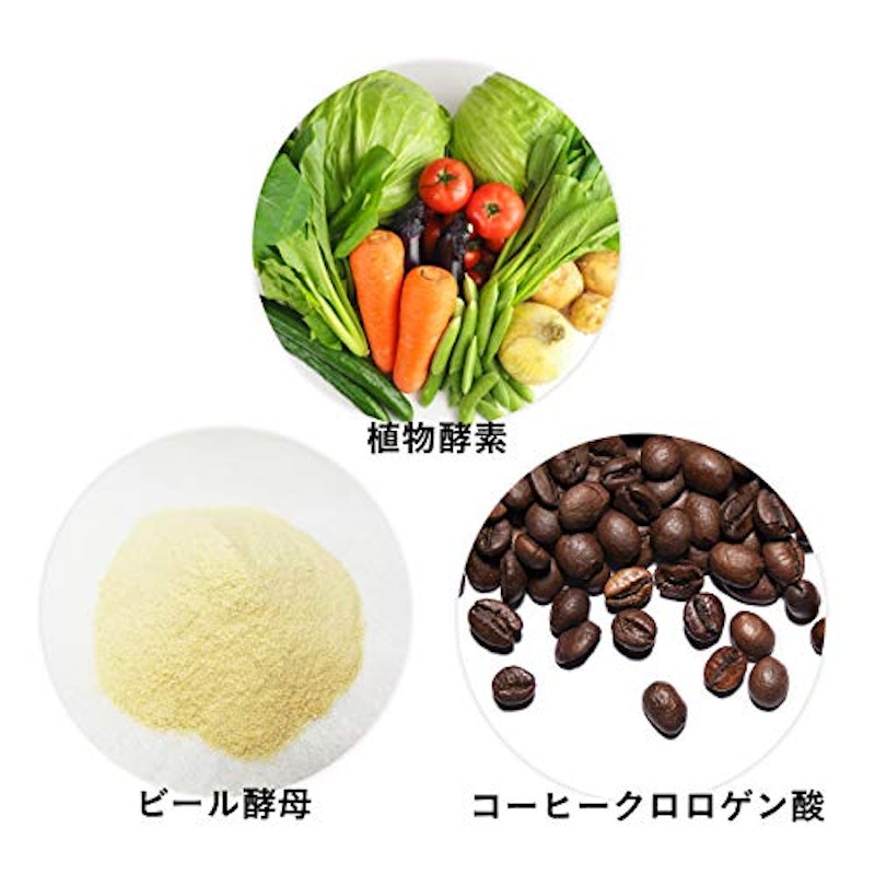 酵母×酵素219×コーヒークロロゲン酸 3